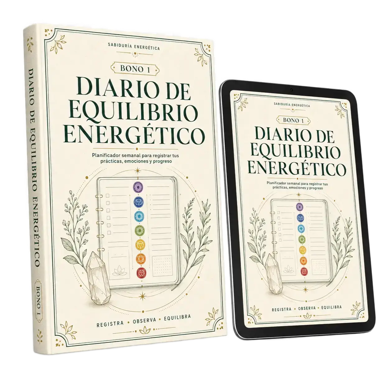 Diario de Equilibrio Energético